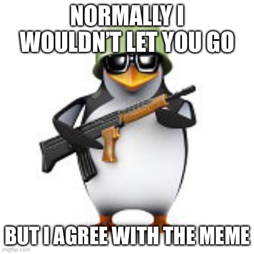 no anime penguin | NORMALLY I WOULDN’T LET YOU GO BUT I AGREE WITH THE MEME | image tagged in no anime penguin | made w/ Imgflip meme maker