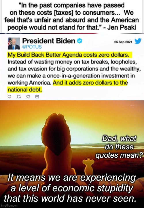 And progressives claim to be enlightened | Dad, what do these quotes mean? It means we are experiencing a level of economic stupidity that this world has never seen. | image tagged in memes,lion king,politics lol,politics suck,derp | made w/ Imgflip meme maker