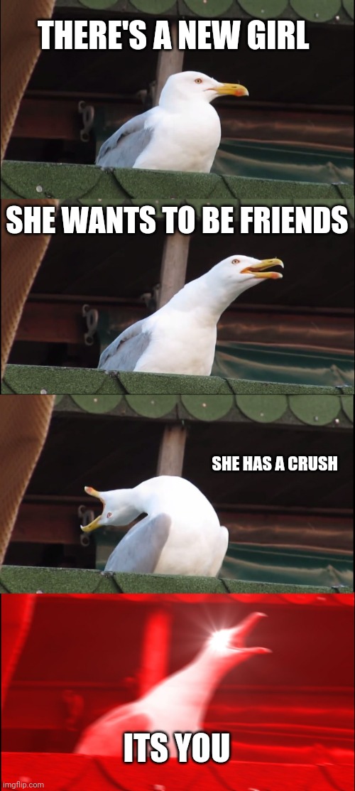 Inhaling Seagull | THERE'S A NEW GIRL; SHE WANTS TO BE FRIENDS; SHE HAS A CRUSH; ITS YOU | image tagged in memes,inhaling seagull | made w/ Imgflip meme maker