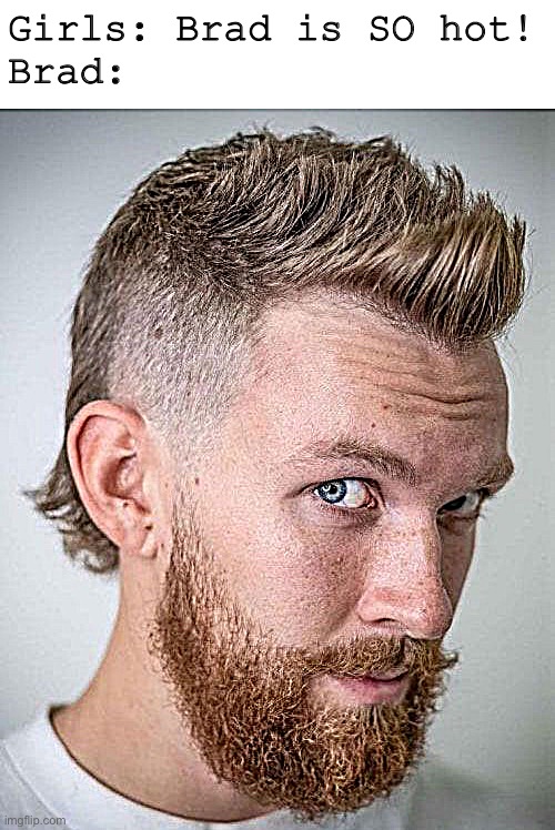 Hilljack Haircut |  Girls: Brad is SO hot!

Brad: | image tagged in redneck,mullet,girls be like | made w/ Imgflip meme maker