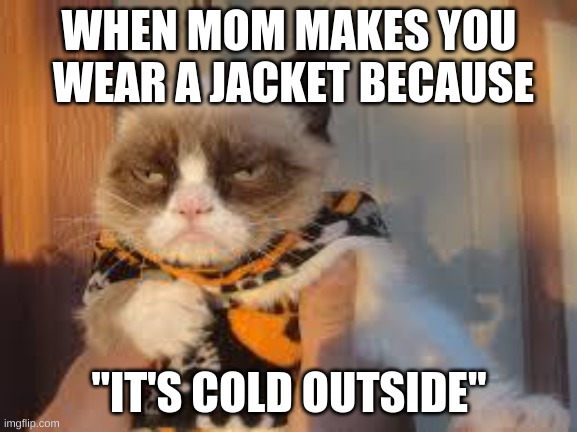 Day 2 of posting Halloween memes | WHEN MOM MAKES YOU
 WEAR A JACKET BECAUSE; "IT'S COLD OUTSIDE" | image tagged in memes,grumpy cat halloween,grumpy cat | made w/ Imgflip meme maker