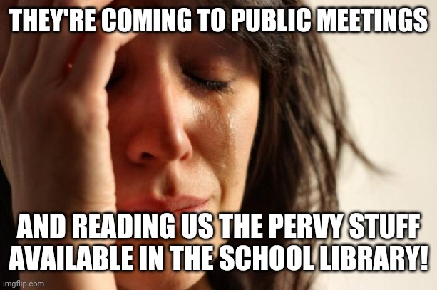 First World Problems Meme | THEY'RE COMING TO PUBLIC MEETINGS AND READING US THE PERVY STUFF
AVAILABLE IN THE SCHOOL LIBRARY! | image tagged in memes,first world problems | made w/ Imgflip meme maker