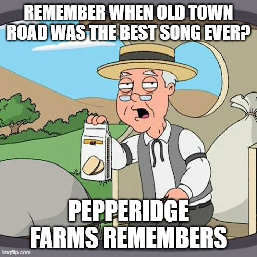 Pepperidge Farm Remembers Meme | REMEMBER WHEN OLD TOWN ROAD WAS THE BEST SONG EVER? PEPPERIDGE FARMS REMEMBERS | image tagged in memes,pepperidge farm remembers | made w/ Imgflip meme maker