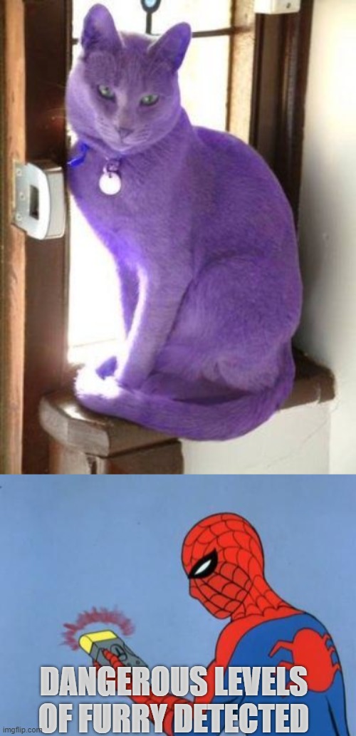DANGEROUS LEVELS OF FURRY DETECTED | image tagged in spiderman detector | made w/ Imgflip meme maker