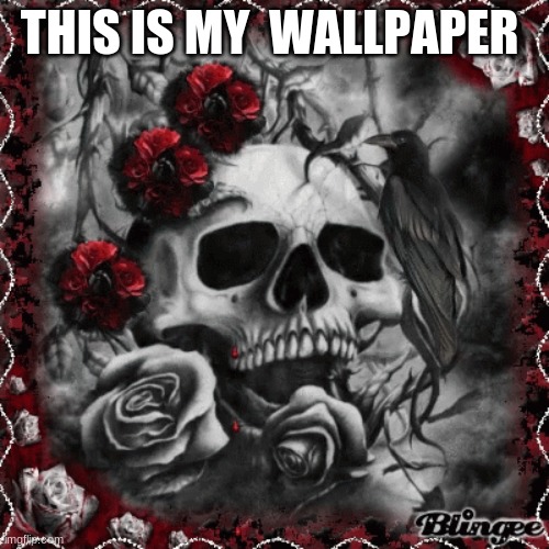 THIS IS MY  WALLPAPER | image tagged in reeeeeeeeeeeeeeeeeeeeee | made w/ Imgflip meme maker