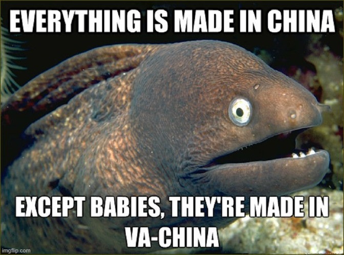 Unagi, the Bad Joke Eel sez, if you know Sushi like I know Sushi | image tagged in vince vance,made in china,babies,bad joke eel,memes,jokes | made w/ Imgflip meme maker