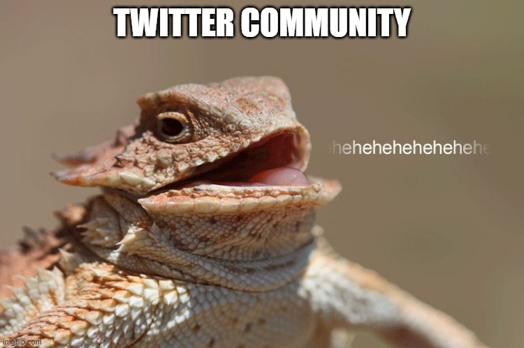 laughing lizard | TWITTER COMMUNITY | image tagged in laughing lizard | made w/ Imgflip meme maker