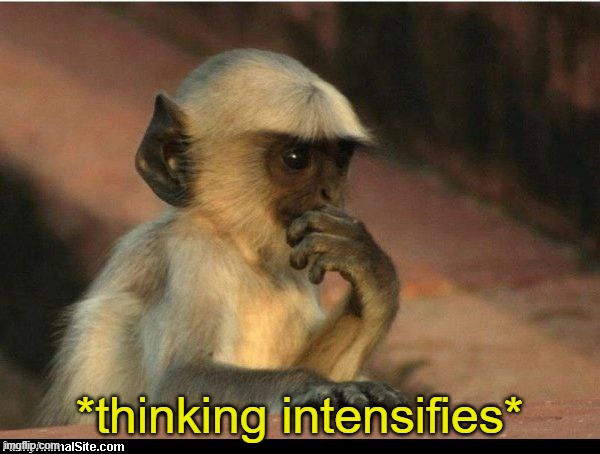 Thinking monkey | *thinking intensifies* | image tagged in thinking monkey | made w/ Imgflip meme maker