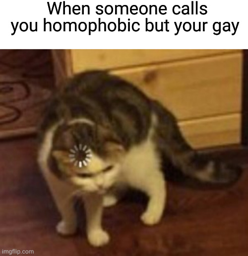 When someone calls you homophobic but your gay | image tagged in blank white template,loading cat | made w/ Imgflip meme maker