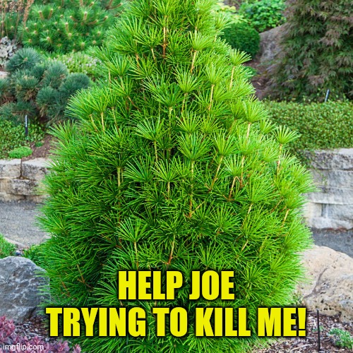 HELP JOE TRYING TO KILL ME! | made w/ Imgflip meme maker