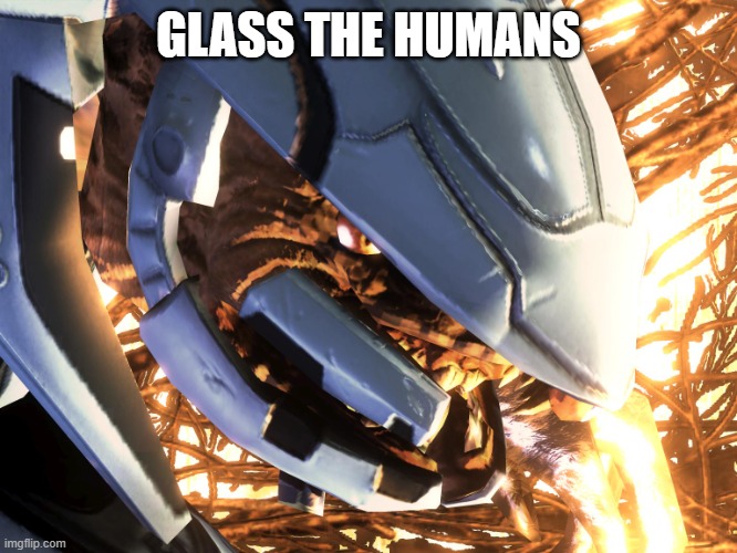 halo elite | GLASS THE HUMANS | image tagged in halo elite | made w/ Imgflip meme maker