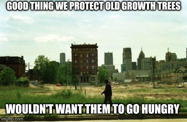 comments from the peanut gallery | GOOD THING WE PROTECT OLD GROWTH TREES; WOULDN'T WANT THEM TO GO HUNGRY | image tagged in detroit ghetto,bc | made w/ Imgflip meme maker