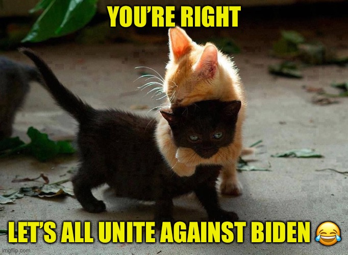 kitten hug | YOU’RE RIGHT LET’S ALL UNITE AGAINST BIDEN ? | image tagged in kitten hug | made w/ Imgflip meme maker