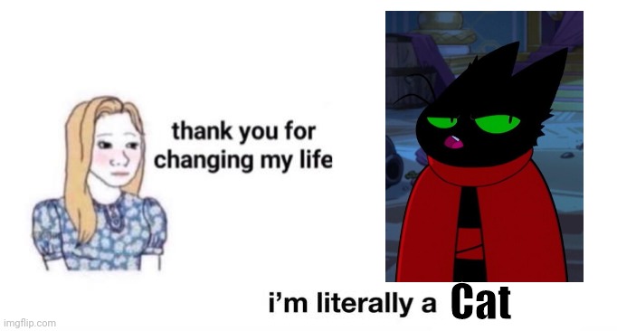thank you for changing my life | Cat | image tagged in thank you for changing my life | made w/ Imgflip meme maker