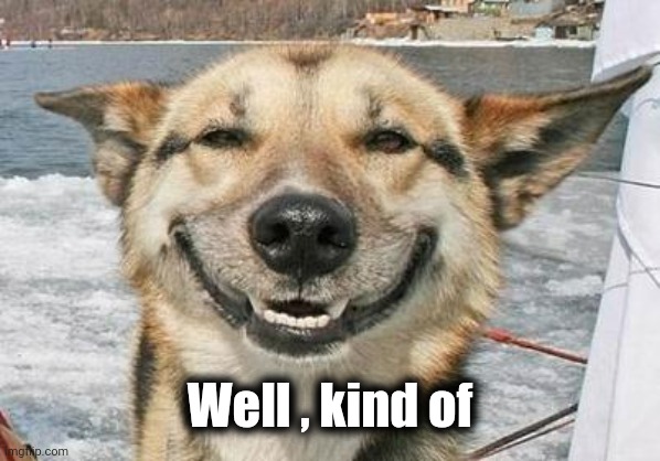 smiling dog | Well , kind of | image tagged in smiling dog | made w/ Imgflip meme maker