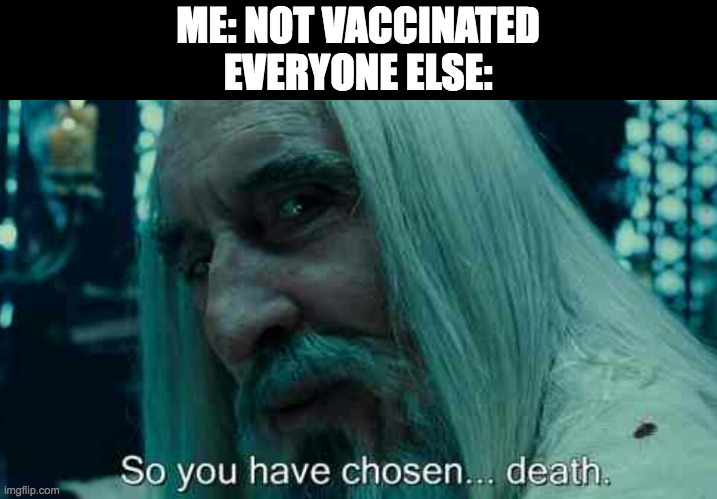 LOTR so you have chosen death vaccination | ME: NOT VACCINATED
EVERYONE ELSE: | image tagged in so you have chosen death,vaccines,covid-19,lotr | made w/ Imgflip meme maker