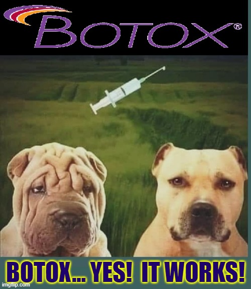 "Ask me about my Wrinkles."  What Wrinkles?!! | BOTOX... YES!  IT WORKS! | image tagged in vince vance,botox,wrinkles,dogs,memes,looking good | made w/ Imgflip meme maker