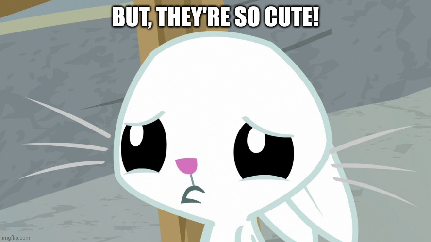 BUT, THEY'RE SO CUTE! | made w/ Imgflip meme maker