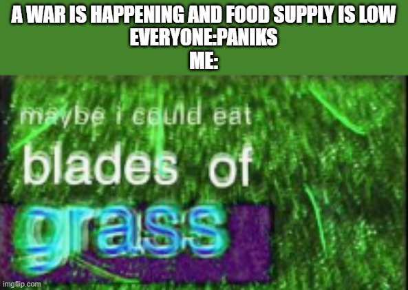 grass | A WAR IS HAPPENING AND FOOD SUPPLY IS LOW
EVERYONE:PANIKS
ME: | image tagged in maybe i could eat blades of grass | made w/ Imgflip meme maker