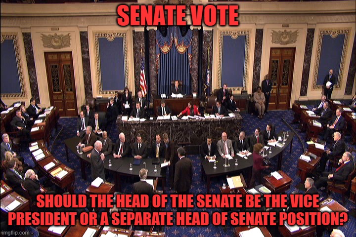 Senate floor | SENATE VOTE; SHOULD THE HEAD OF THE SENATE BE THE VICE PRESIDENT OR A SEPARATE HEAD OF SENATE POSITION? | image tagged in senate floor | made w/ Imgflip meme maker