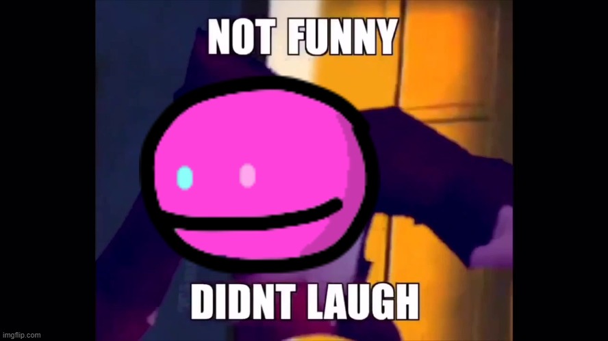 Not funny didn't laugh | image tagged in not funny didn't laugh | made w/ Imgflip meme maker