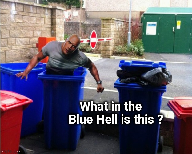 What in the              
Blue Hell is this ? | image tagged in the rock in the bin | made w/ Imgflip meme maker