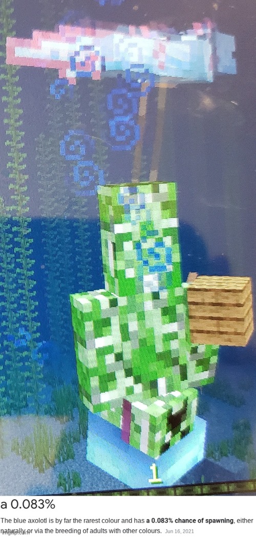I swear, I found this naturally, I had to spawn in a lead so I could get a picture with it. | image tagged in minecraft,omg,lucky | made w/ Imgflip meme maker