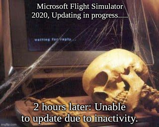 WHYYYYY | Microsoft Flight Simulator 2020, Updating in progress..... 2 hours later: Unable to update due to inactivity. | image tagged in waiting skull | made w/ Imgflip meme maker