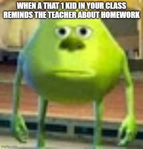 when homework | WHEN A THAT 1 KID IN YOUR CLASS REMINDS THE TEACHER ABOUT HOMEWORK | image tagged in sully wazowski | made w/ Imgflip meme maker