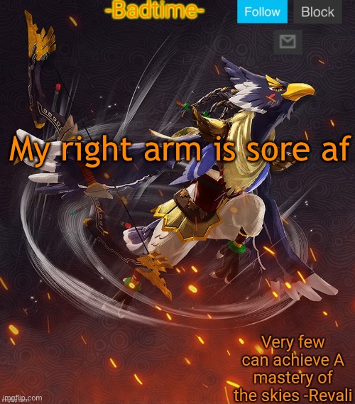 And my hand | My right arm is sore af | image tagged in ravioli ravioli revali's gale is now readioli | made w/ Imgflip meme maker