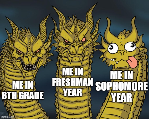 How school went for me | ME IN FRESHMAN YEAR; ME IN SOPHOMORE YEAR; ME IN 8TH GRADE | image tagged in three-headed dragon | made w/ Imgflip meme maker