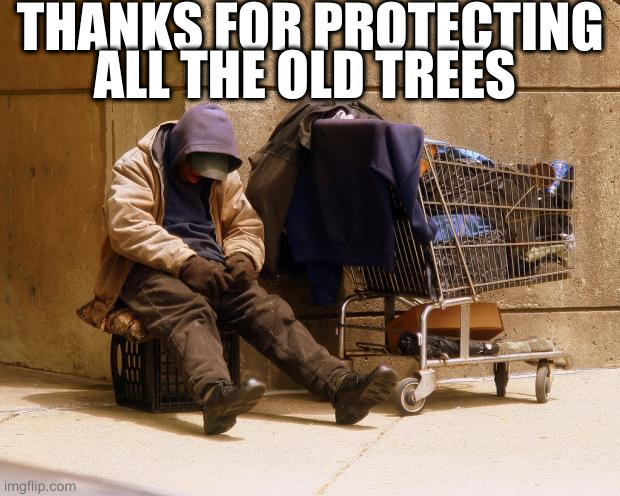 biodiversity doesn't feed anyone | THANKS FOR PROTECTING ALL THE OLD TREES | image tagged in homeless,trees | made w/ Imgflip meme maker
