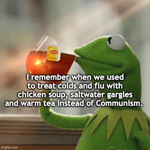 But That's None Of My Business Meme | I remember when we used to treat colds and flu with chicken soup, saltwater gargles and warm tea instead of Communism. | image tagged in memes,but that's none of my business,kermit the frog | made w/ Imgflip meme maker