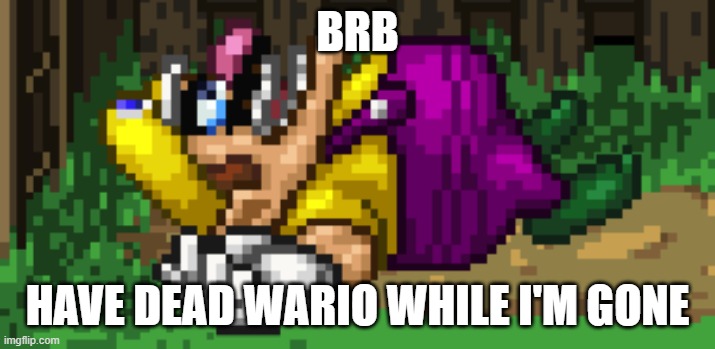 SSF2 dead Wario | BRB; HAVE DEAD WARIO WHILE I'M GONE | image tagged in ssf2 dead wario | made w/ Imgflip meme maker