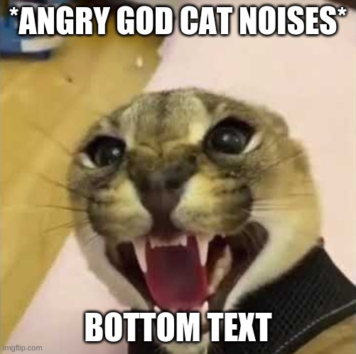 Angry Floppa | *ANGRY GOD CAT NOISES* BOTTOM TEXT | image tagged in angry floppa | made w/ Imgflip meme maker