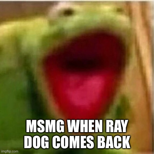 AHHHHHHHHHHHHH | MSMG WHEN RAY DOG COMES BACK | image tagged in ahhhhhhhhhhhhh | made w/ Imgflip meme maker