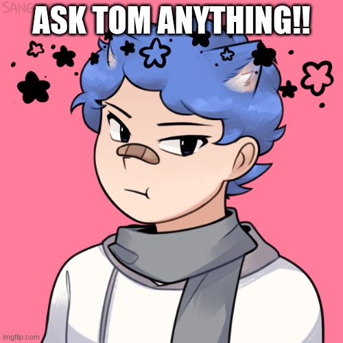 Bored | ASK TOM ANYTHING!! | image tagged in roleplaying,ask,me,anything | made w/ Imgflip meme maker