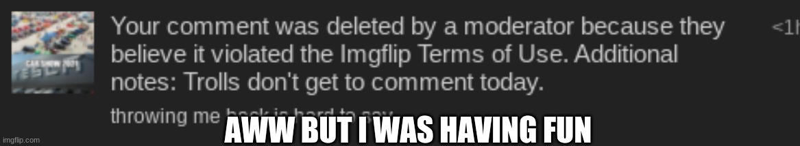 lol | AWW BUT I WAS HAVING FUN | image tagged in lol | made w/ Imgflip meme maker