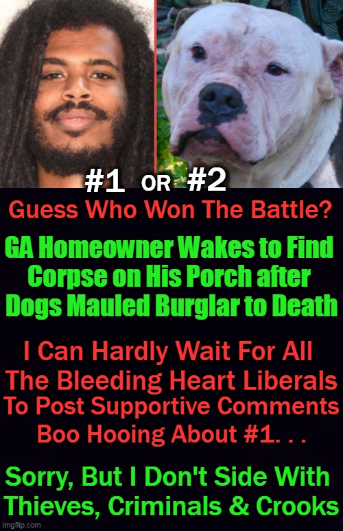 Wrong Place at the Wrong Time But Take It as a PSA Warning | #1; #2; OR; Guess Who Won The Battle? GA Homeowner Wakes to Find 
Corpse on His Porch after 
Dogs Mauled Burglar to Death; I Can Hardly Wait For All 
The Bleeding Heart Liberals; To Post Supportive Comments
Boo Hooing About #1. . . Sorry, But I Don't Side With 
Thieves, Criminals & Crooks | image tagged in politics,liberals,karma,don't steal,criminals bad | made w/ Imgflip meme maker