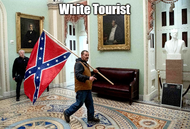 "White Tourist" | White Tourist | image tagged in white tourist,january 6 insurrection,trump riot | made w/ Imgflip meme maker