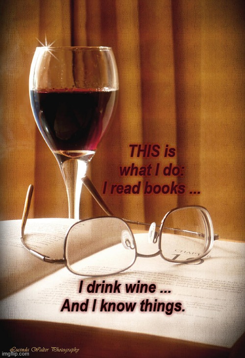 I drink wine read books and know things | THIS is what I do:
I read books ... I drink wine ...
And I know things. | image tagged in books,wine,reading,knowledge | made w/ Imgflip meme maker