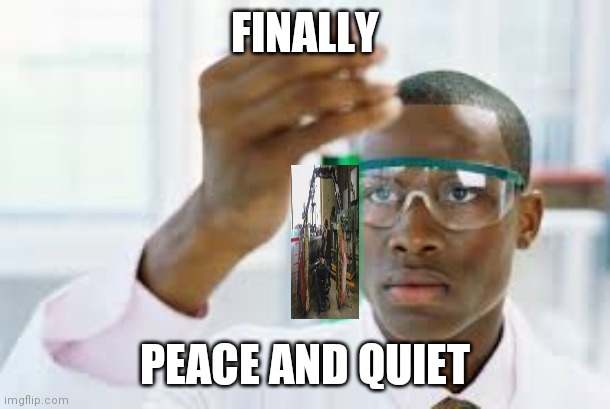 FINALLY | FINALLY PEACE AND QUIET | image tagged in finally | made w/ Imgflip meme maker