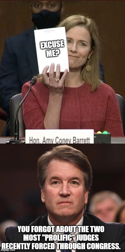 EXCUSE ME? YOU FORGOT ABOUT THE TWO MOST "PROLIFIC" JUDGES RECENTLY FORCED THROUGH CONGRESS. | image tagged in amy coney barrett,brett kavanaugh | made w/ Imgflip meme maker