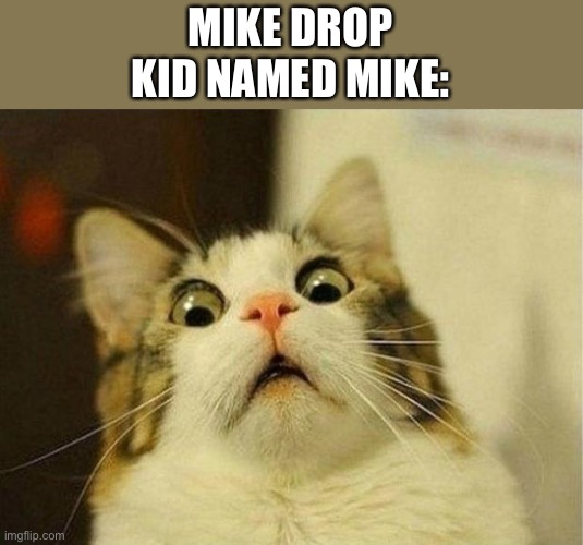 Out a window | MIKE DROP
KID NAMED MIKE: | image tagged in poor mike | made w/ Imgflip meme maker