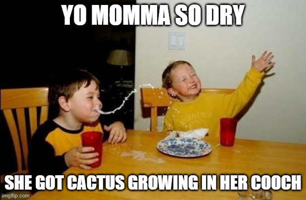 Now That IS Dry | YO MOMMA SO DRY; SHE GOT CACTUS GROWING IN HER COOCH | image tagged in yo momma so fat | made w/ Imgflip meme maker