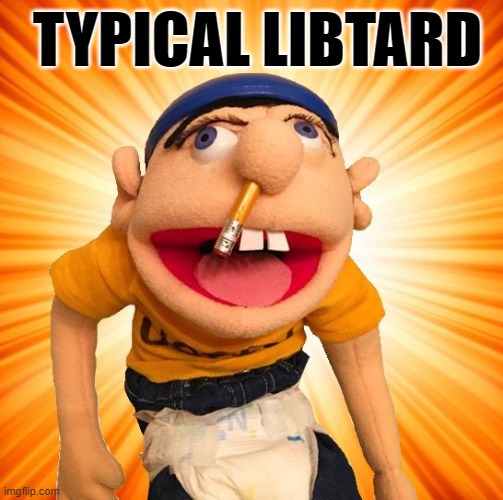 Jeffy says what? | TYPICAL LIBTARD | image tagged in jeffy says what | made w/ Imgflip meme maker