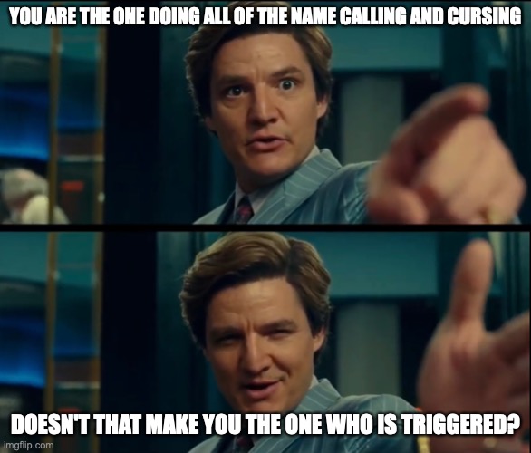 Life is good, but it can be better | YOU ARE THE ONE DOING ALL OF THE NAME CALLING AND CURSING DOESN'T THAT MAKE YOU THE ONE WHO IS TRIGGERED? | image tagged in life is good but it can be better | made w/ Imgflip meme maker