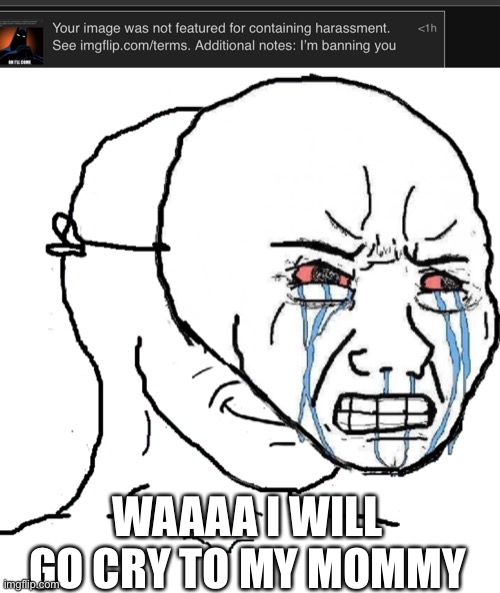 WAAAA I WILL GO CRY TO MY MOMMY | image tagged in guy with happy face crying mask | made w/ Imgflip meme maker