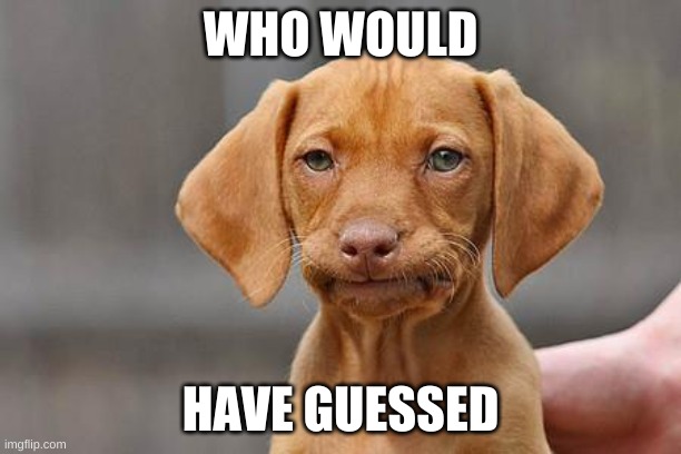 Dissapointed puppy | WHO WOULD; HAVE GUESSED | image tagged in dissapointed puppy | made w/ Imgflip meme maker