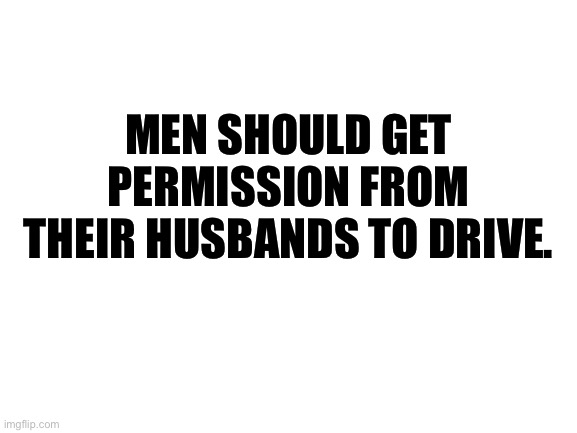 How’s this? | MEN SHOULD GET PERMISSION FROM THEIR HUSBANDS TO DRIVE. | image tagged in blank white template | made w/ Imgflip meme maker
